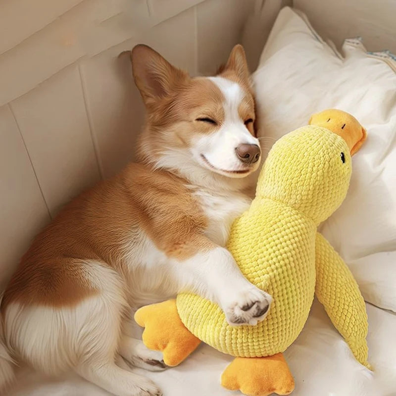 Duck Squeaky Dog Toy – Durable Chew & Play